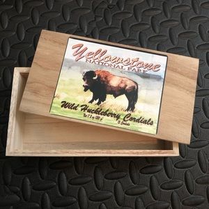 Yellowstone National Park TrinketBox